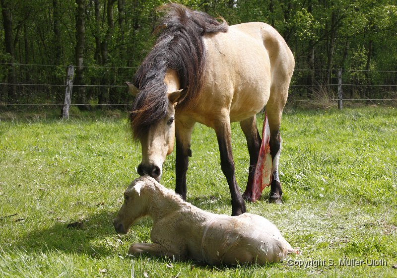 Hjoerdis 12 Min alt (5).JPG